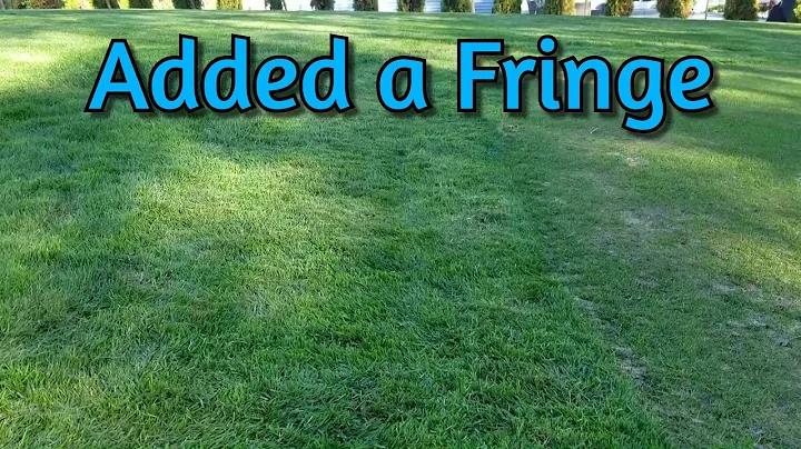 Our Lawn | We Have a Fringe Now