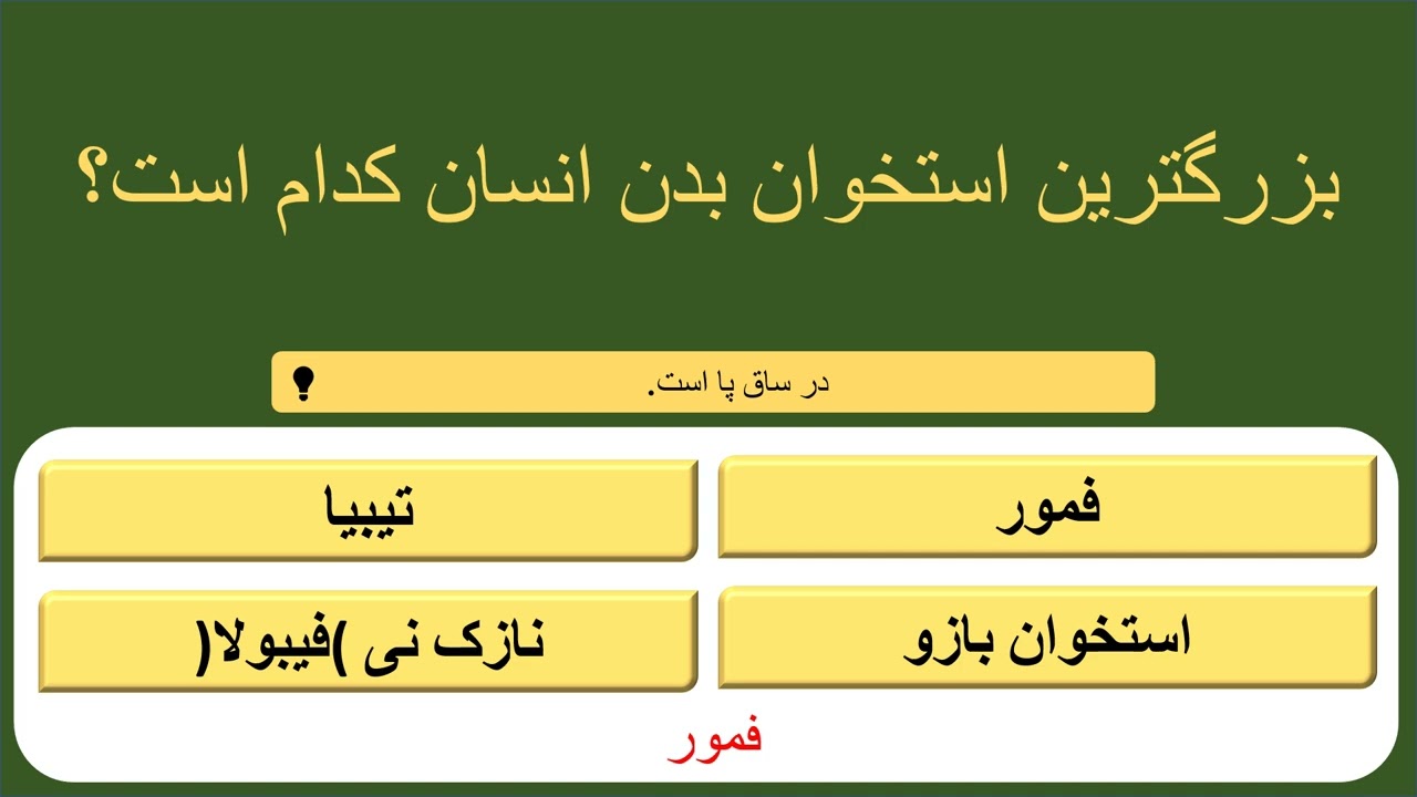ادعای باهوشی داری؟ 🧠 ۱۸ سوال اطلاعات عمومی که مغزت رو به چالش می‌کشه!