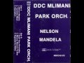 DDC Mlimani Park Orchestra -  Nelson Mandela (Audio)