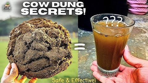 How To Use Raw Cow Dung Cakes For Plants? (More Benefits*)