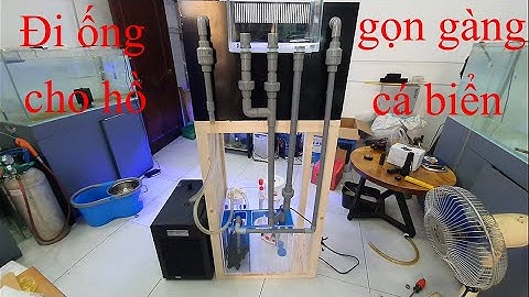 Seri Cá Biển| Tập 2 Gợi ý đi ống nước cho sump gọn gàng thẩm mỹ