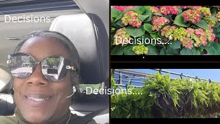 A video A Day in May ~ Getting my Yard ready. - Plants for the porch and Patio