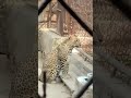 Delhi zoo