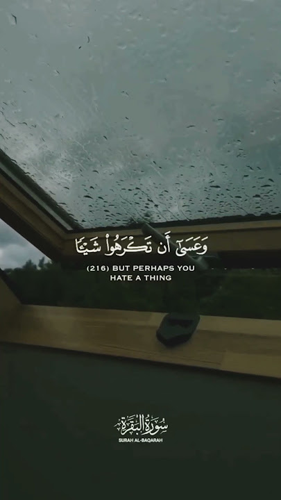 Surah Al-Baqarah (2:216) #allah #islam #quran