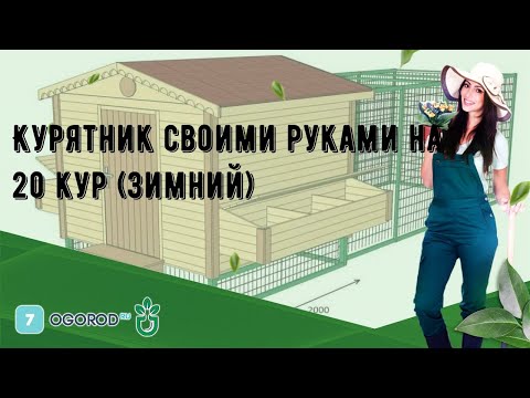 Курятник своими руками на 20 кур зимний чертежи