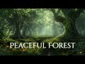 Peaceful Forest Ambience And Music Peaceful Fantasy Music And Sounds Of A Forest In Spring 