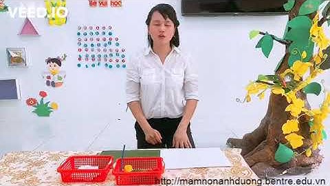 Tạo hình con bướm