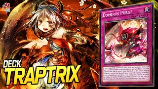 Deck Traptrix| EDOPRO | Replays 🎮 + Decklist ✔️