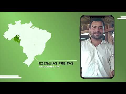 PECUARISTA DE RONDÔNIA MOSTRA SISTEMA TOP DE ENGORDA DE NOVILHAS SUPLEMENTADAS A PASTO