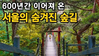 조선시대부터 근현대까지! 서울의 역사를 거니는 도심속 힐링 산책코스ㅣ대중교통 당일치기 여행ㅣ지하철 여행ㅣ트레킹 코스