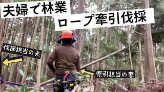 【夫婦で林業】牽引具を使った伐木作業｜夫婦での仕事風景
