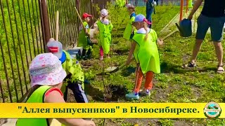 Аллея выпускников