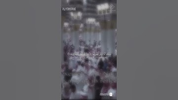مقتطف من تلاوة فضيلة الشيخ #صلاح_البدير من صلاة التهجد ليلة 27 رمضان 1446