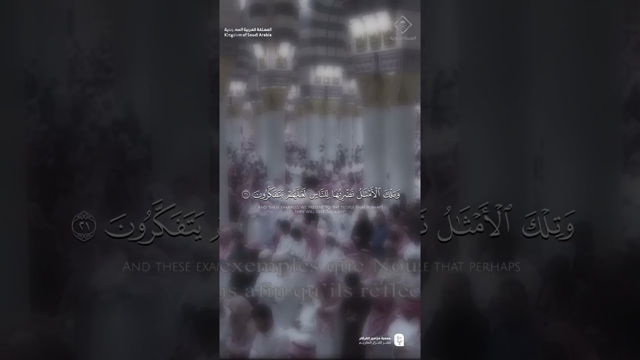 مقتطف من تلاوة فضيلة الشيخ #صلاح_البدير من صلاة التهجد ليلة 27 رمضان 1446