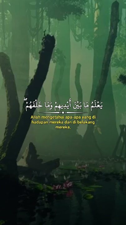 ayat kursi | bacaan ayat kursi merdu #murottalquran #bacaanalquran #tilawahquran #alquran #shorts