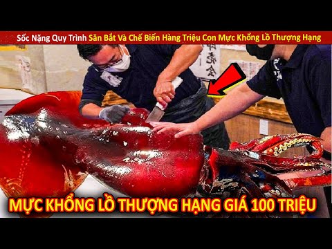 Sốc Nặng Quy Trình Săn Bắt Và Chế Biến Hàng Triệu Con Mực Khổng Lồ Thượng Hạng 2023 mới nhất