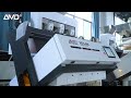 AMD® InGAas Sorter/Sorting/Sortex Machine for Hulled Oats Cleaning