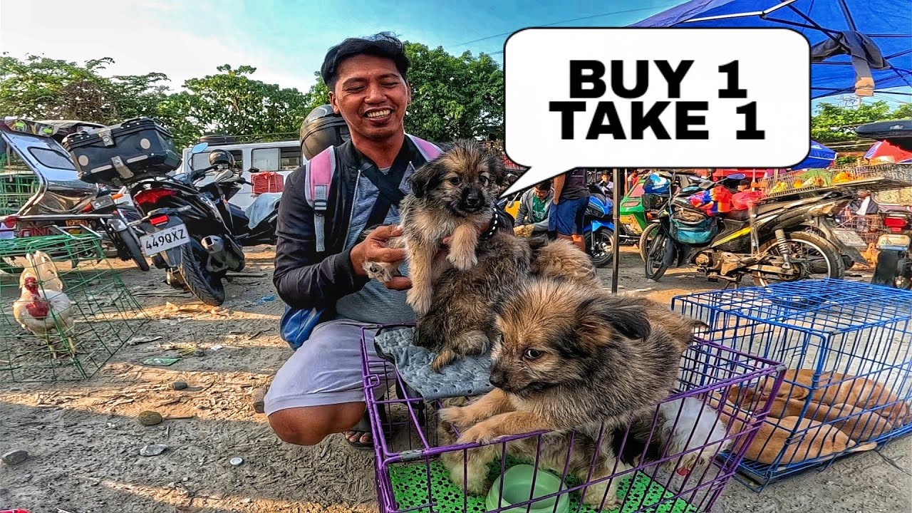 EKSENA SA BOCAUE APRIL 11, 2025 | PET TIANGGE