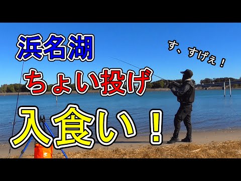 浜名湖釣り【#101】爆釣！ちょい投げ釣りが凄いです！今、やった方が良いです！