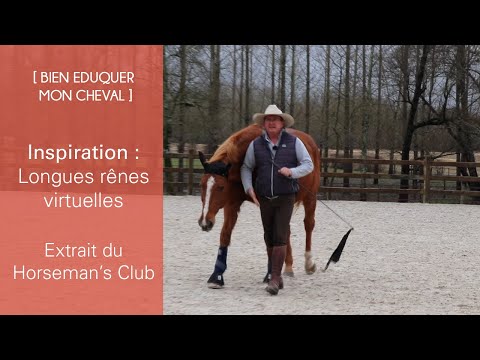[Bien éduquer] Inspiration : les longues rênes virtuelles