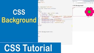 40 CSS Background | Background Image | Background Position | Background Repeat | CSS Tutorial
