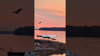 Eagles Fly Alone! #eagles #survivor #warrior #nevergiveup #mrredwhiteandblue #coffeyanderson
