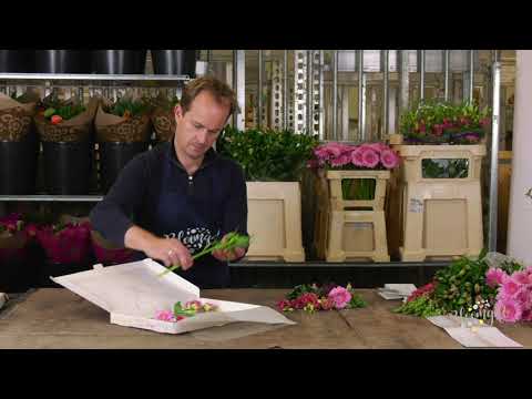 Brievenbusbloemen - video from Bloomgift