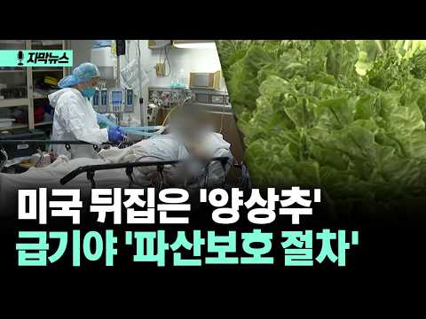 [자막뉴스] 미국 뒤집은 '<strong>양상추</strong>'... 급기야 '파산보호 절차'