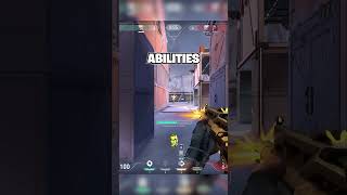 Valorants New Agent LEAKED?