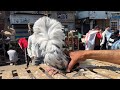 تعالو ناخد جوله في سوق حمام دمياط ونعرف آخر اسعار الحمام