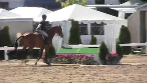 Video of FLY BOY ridden by PENNY D. LOMBARDO from ...