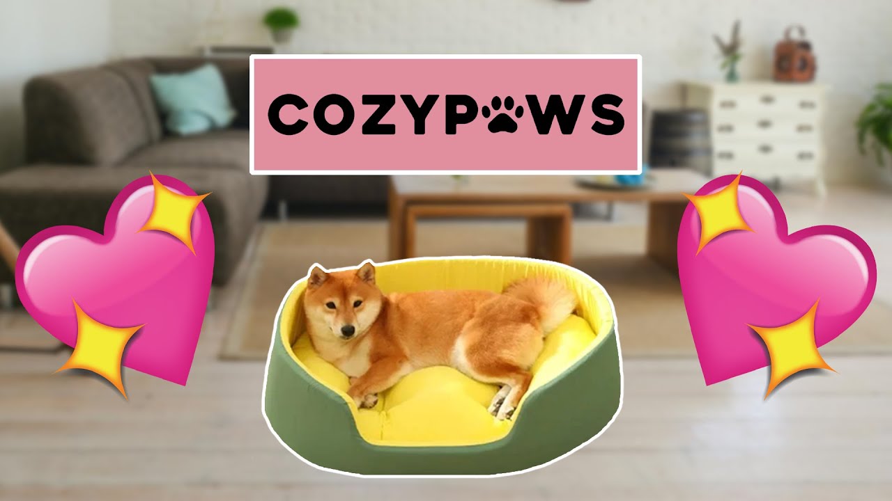Cozy Paws Pet Palace