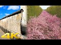 4K | Berlin Wall today (33 years after the fall)