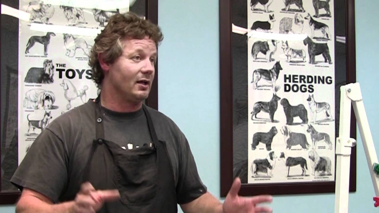 Dog Grooming School Education Expectations Chicago Illinois Dog