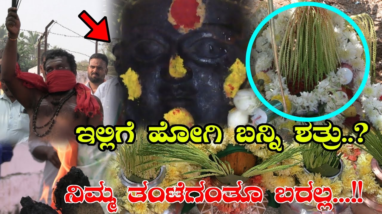 || ನೀವು ಒಂದೇ ಒಂದು ಪೂಜೆ ಮಾಡಿಸಿದರೆ ನಿಮ್ಮ ಜೀವನ ಬದಲಾಗುತ್ತೆ ಗ್ಯಾರಂಟಿ || ಬಿಳಿಕೆರೆ ಯಲ್ಲಮ್ಮ ದೇವಿ ಪವಾಡ ||