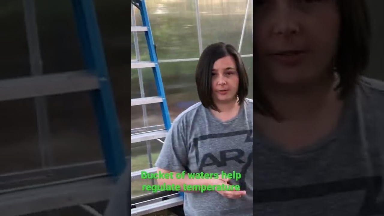 How to regulate temperature in greenhouses.