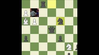 Blunder by Rook #shorts #chess #chessmemes