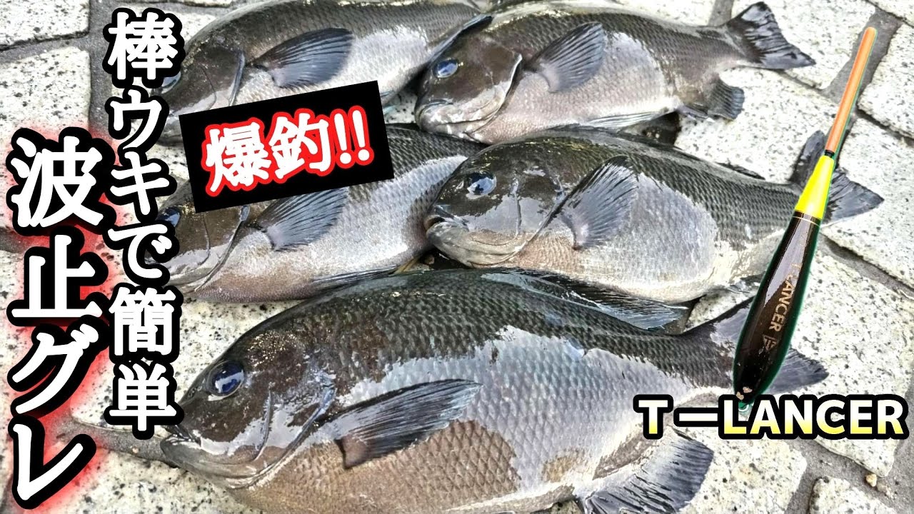 #グレ釣り 棒ウキも面白い‼     初心者必見！【半遊動仕掛け】【フカセ釣り入門】