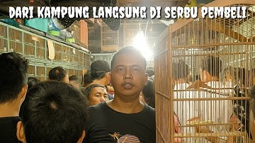 Dari kampung Langsung Di serbu pembeli! 