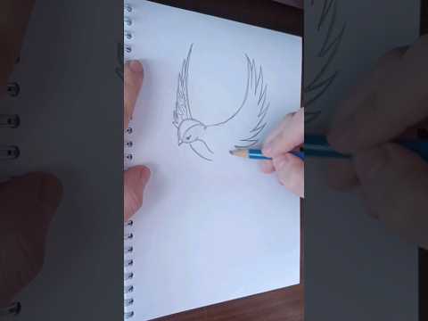Ласточка #птица #птицы #рисунок #рисуноккарандашом #ласточка