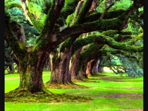 Edén - Jorge Drexler