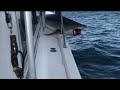 Huge shark jumps on fishing boat and gets stuck