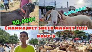 Chamrajpet🔥 sheep and goat market 25/06/2023 Part-3||#chamrajpet #bakra #bakramandi #bakramandi2023