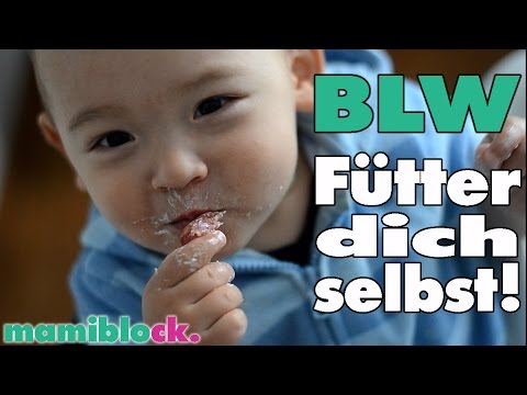 Was ist Baby Led Weaning? | 3 super einfache Rezepte | BLW | mamiblock kiDchen