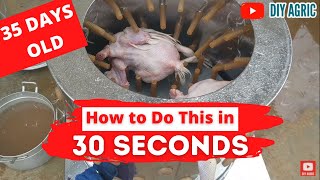 Chicken Feather Plucking 30 Seconds | How Hot Should Scalding Water Be | Chicken Processing Machine
