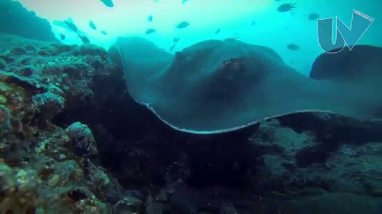 Kanárské ostrovy na Valhalle