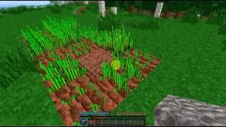 Lets Play Minecraft # 3: PEACEFUL MODE Part 1