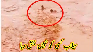 Stan Flood 2022 Sailab In Sindh Kpk, Balochistan & Punjab