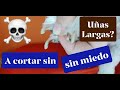 Como CORTAR UÑAS💅🏿 de PERRO en CASA🏠 [FÁCIL y SIN MIEDO😱]