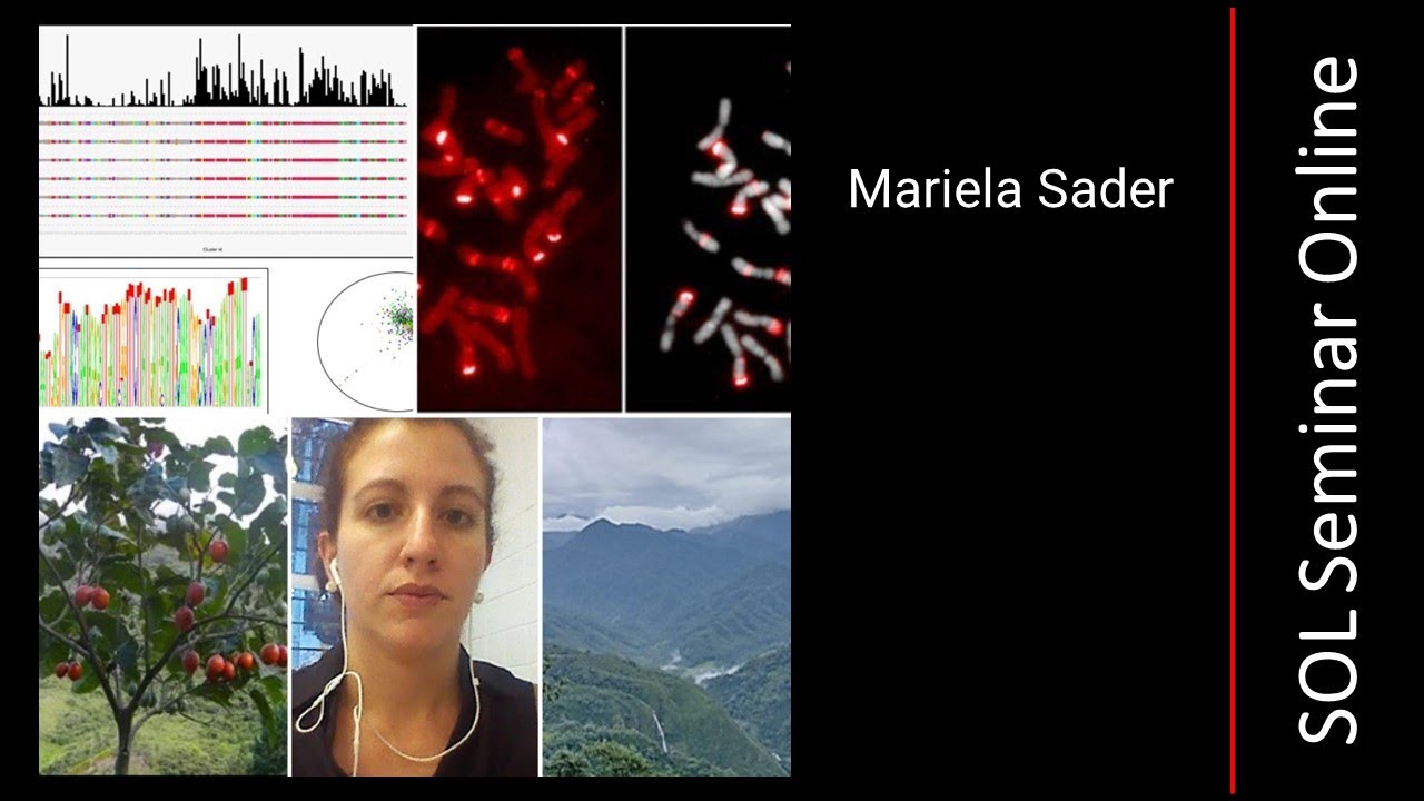 Mariela Sader - Diversity of the repetitive DNA fraction in Solanum betaceum Cav. (Solanaceae)